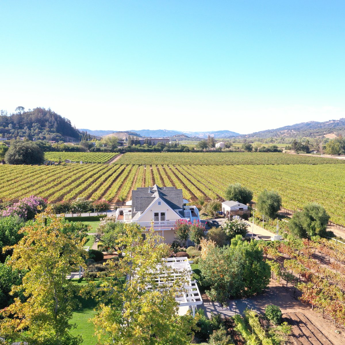 Our limited-Time Black Friday promotion ends tomorrow! Book 3 Nights &amp; Save 20%! 

Learn more on our special offers page.  
geyservilleinn.com/specials/ 

#geyserville #AlexanderValley #geyservilleinn #Healdsburg #sonomawinecountry #lifeopensup #sonomacounty