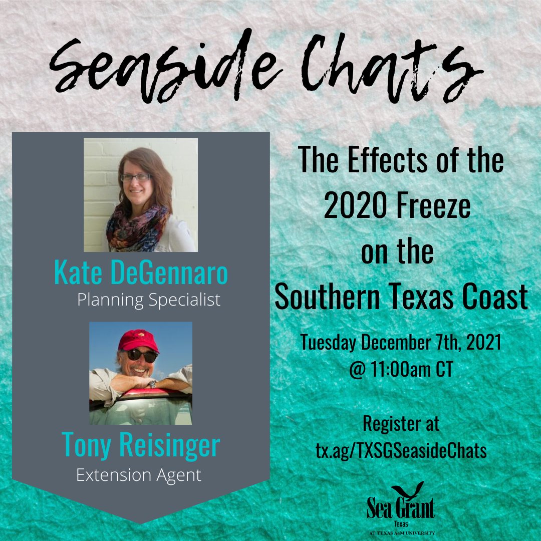 TXSeaGrant's tweet photo. Get ready for our next Seaside Chat, happening Tuesday, December 7th at 11am CDT! 

Register for this free virtual event at https://t.co/67saTpLb2E

More details ⬇️ https://t.co/GMCRFEqibh
