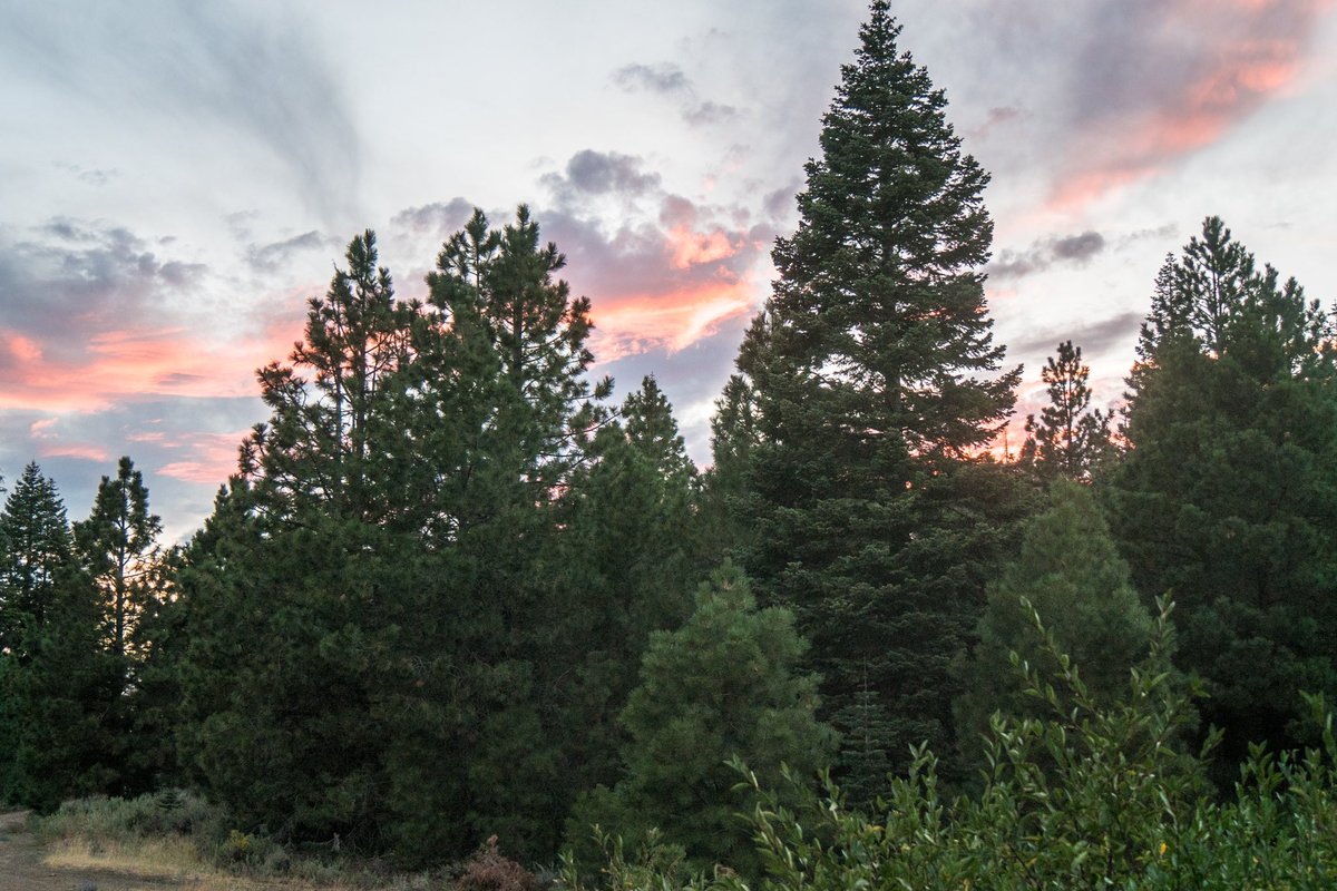 A Rambling Unicorn (UnicornRambling) Twitter