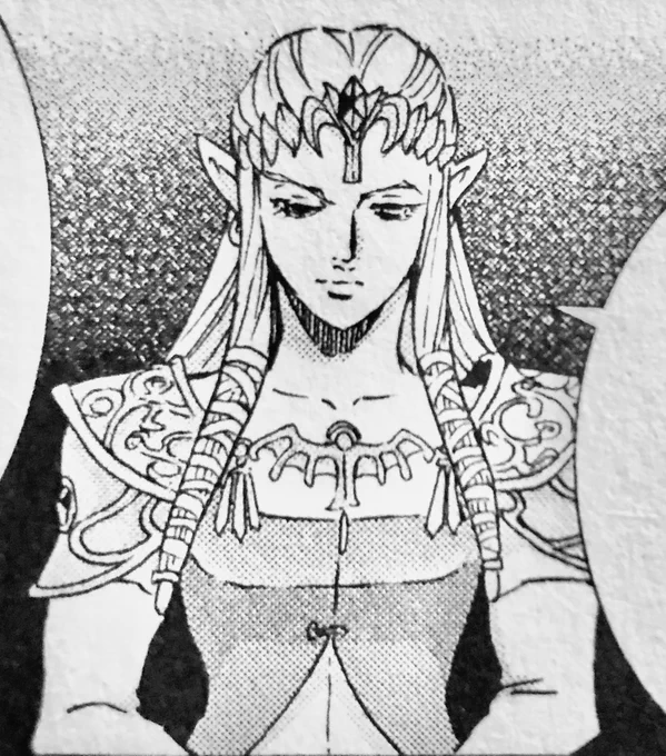 tp manga Zelda my buff queen 