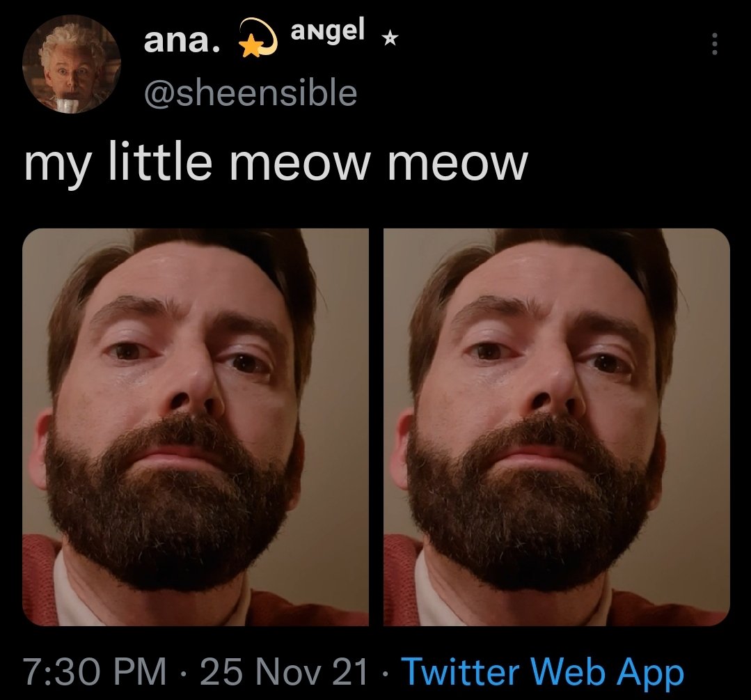 david tennant struggle tweets (@dtstruggle) on Twitter photo 