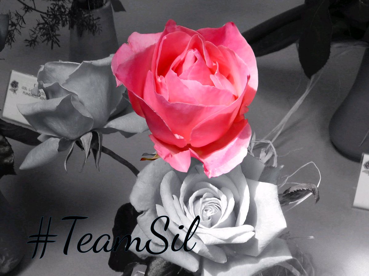 <a href="/RedAdhara/">Adhara</a> <a href="/mvf7186/">#TmSofia</a> <a href="/Spencerjames211/">Spencer James #GAINWITHPETAL #TMPETAL #Teamspirit</a> <a href="/swydersk/">Deb #TmPetaL🌹#Resist💙 #NeverTrump Enjoy the ride</a> <a href="/bluea125/">BlueA125</a> <a href="/_dicastutoriais/">😎IFB🏄Felipe🏄🔰#GaleraTopSDV🔰</a> @_Tzny <a href="/sitaravirgo/">sitara_star 💫🌟</a> <a href="/zareena011/">Zareena 🌼🌺🥀</a> <a href="/Jilliemary/">Jillian Peeling</a> <a href="/oce2020/">OmEr #MGWV</a> <a href="/blsnjaja/">OKO-JAJA</a> @Dmike667David <a href="/SiscoMGWV/">🔶️Sisco #1DDrive 113k🔶️</a> <a href="/ArlindoFerreir4/">Arlindo Ferreira</a> <a href="/insaurraldeh/">⭐POLI⭐ #MGWV⭐</a> <a href="/Genn_Scog/">Genn</a> #TmSofia
#KaraAmbargroup 
<a href="/mvf7186/">#TmSofia</a>
<a href="/Spencerjames211/">Spencer James #GAINWITHPETAL #TMPETAL #Teamspirit</a>
<a href="/swydersk/">Deb #TmPetaL🌹#Resist💙 #NeverTrump Enjoy the ride</a> 
<a href="/bluea125/">BlueA125</a>
<a href="/MaJaVi_/">♠️🎰҉M҉A҉R҉C҉E҉L҉O҉ ҉</a> 
<a href="/_dicastutoriais/">😎IFB🏄Felipe🏄🔰#GaleraTopSDV🔰</a> 
@_Tzny 
<a href="/sitaravirgo/">sitara_star 💫🌟</a> 
<a href="/RedAdhara/">Adhara</a> 
<a href="/zareena011/">Zareena 🌼🌺🥀</a> 
<a href="/Jilliemary/">Jillian Peeling</a> 
<a href="/oce2020/">OmEr #MGWV</a> 
<a href="/blsnjaja/">OKO-JAJA</a> 
@Dmike667David
<a href="/SiscoMGWV/">🔶️Sisco #1DDrive 113k🔶️</a> 
<a href="/ArlindoFerreir4/">Arlindo Ferreira</a> 
<a href="/insaurraldeh/">⭐POLI⭐ #MGWV⭐</a> 
<a href="/Genn_Scog/">Genn</a>