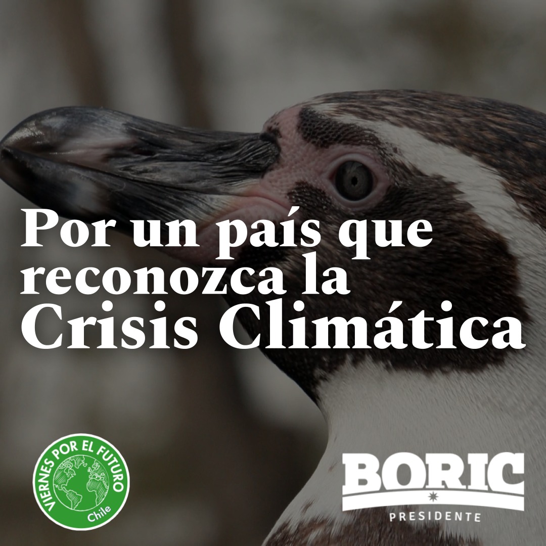 Viernes Por El Futuro Chile tweet media