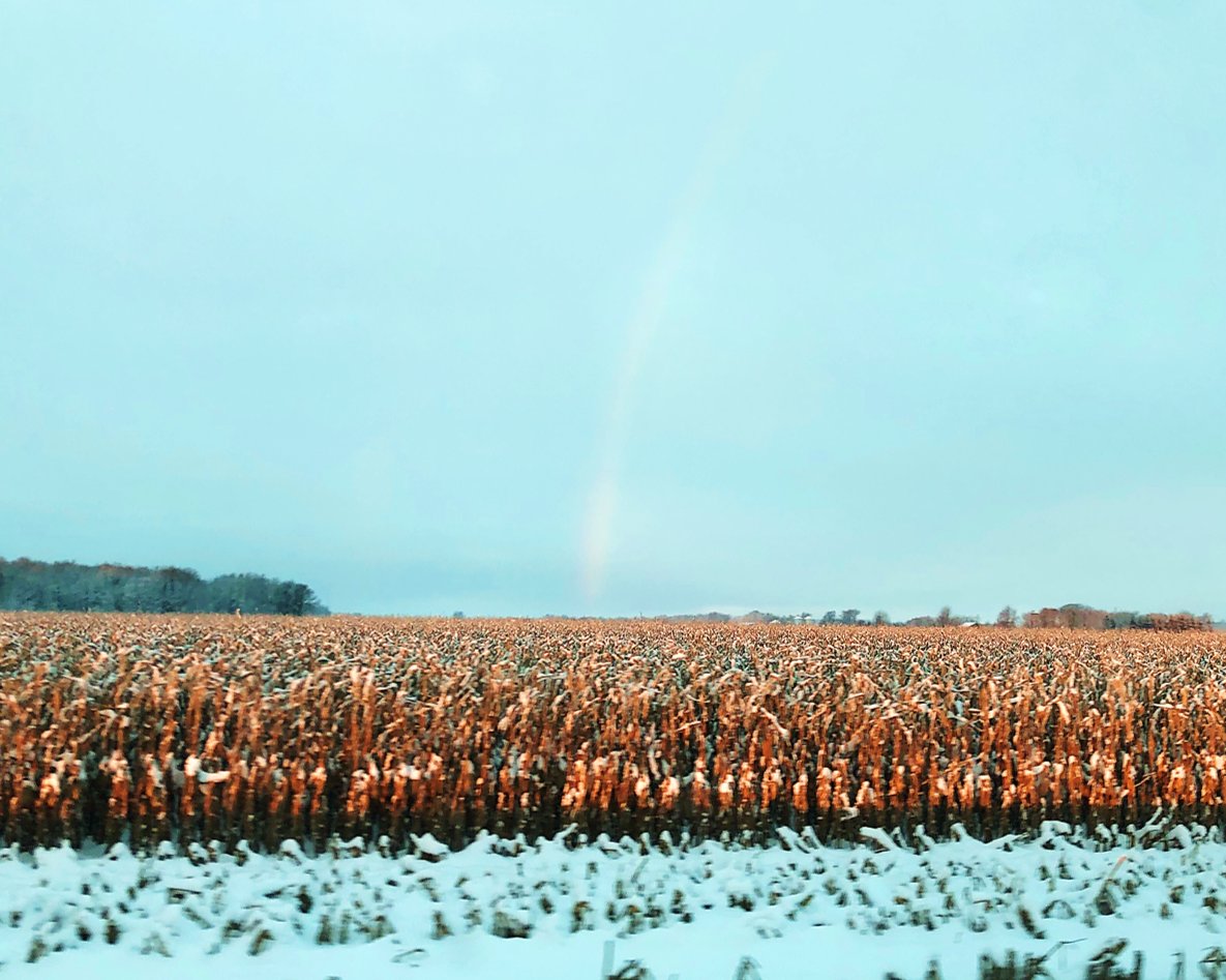 I guess it is true what they say about there being a pot of gold at the end of the rainbow (or at least when it lands in a field of corn this year)! Plot data is circulating and it is time to book your seed-519-727-2700. #corn #seed <a href="/BrevantSeedsCA/">Brevant seeds Canada</a> @CROPLAN_Eastern