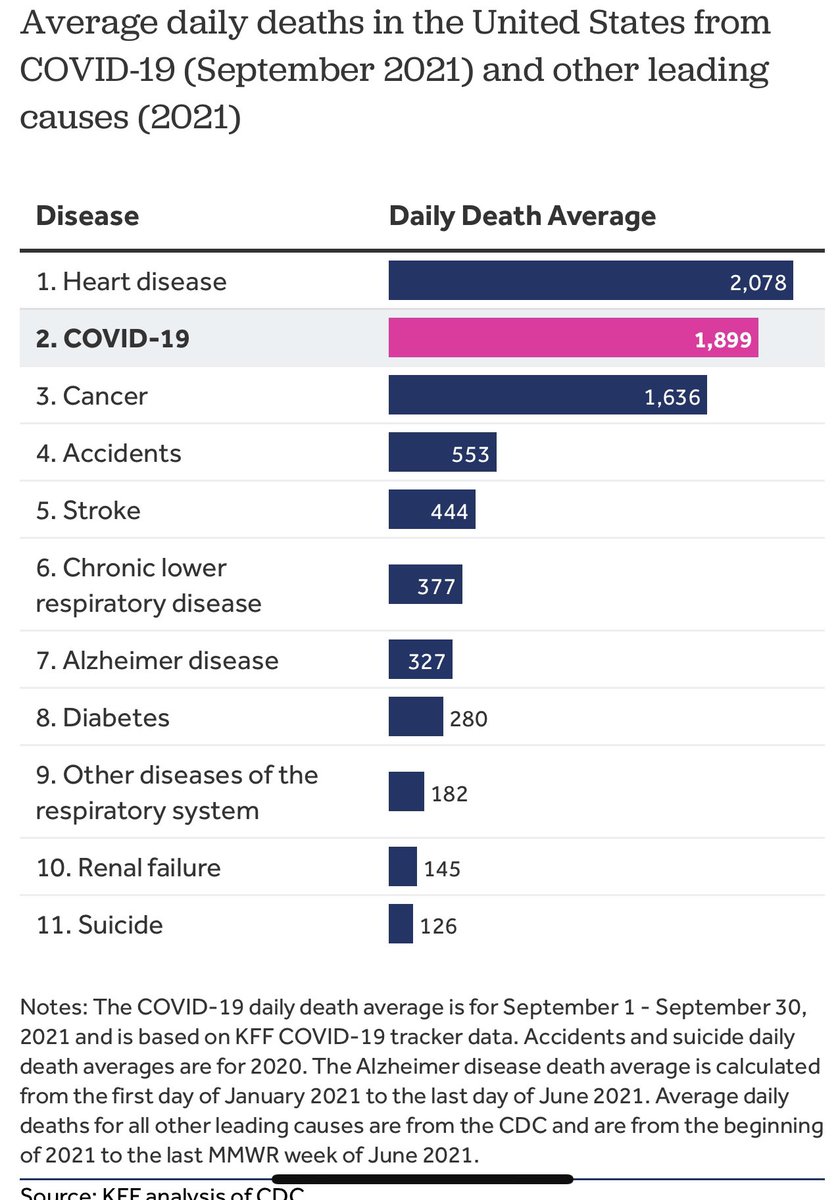 DarlaStJames2's tweet photo. @Shathcock6 @johnEld17210991 @RevSamrah @jasimanski Dr NON  @Shathcock6 all these ARE life threatening. Dentist-not going BELOW read why! Doctor-even with insurance my daughter DID pass-complications-JUST in labor? Auto accident-people do die! Some get to hospital. Heart Attack-should have gone to Dentist. Potential life saver https://t.co/oiiUZl2qUR