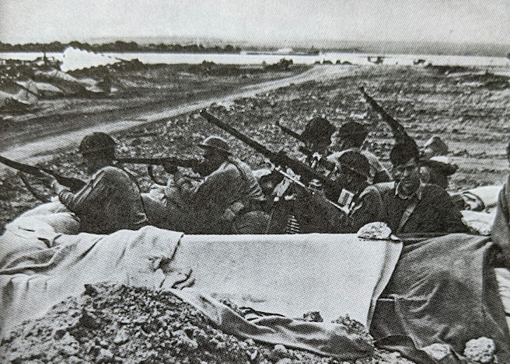 フォード島 Twitter Search Twitter