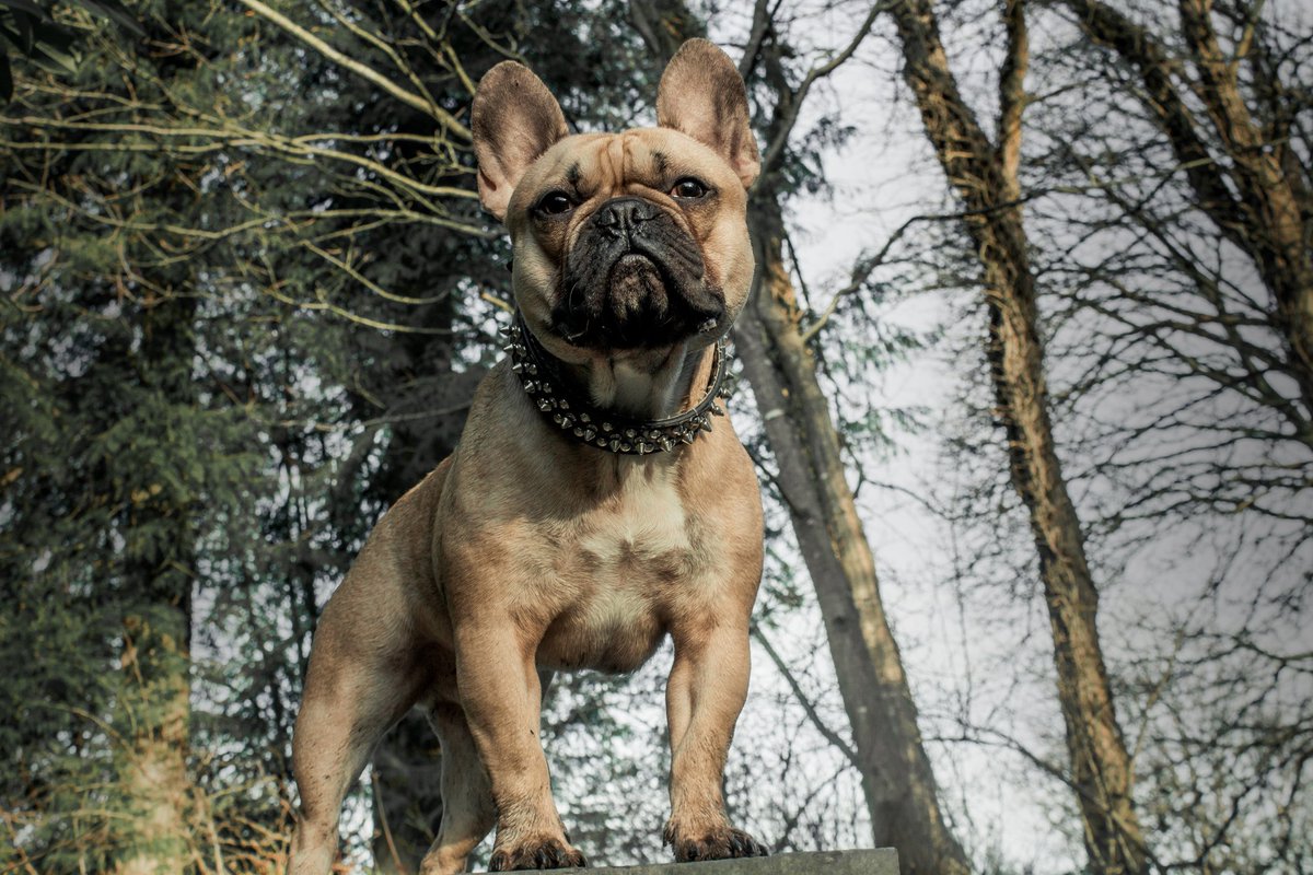 ImJakeeR tweet media