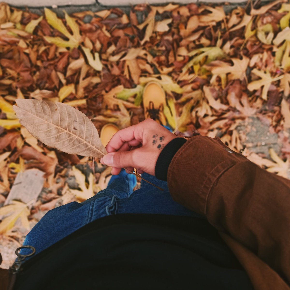 #YeniProfilResmi 
🍁🐾