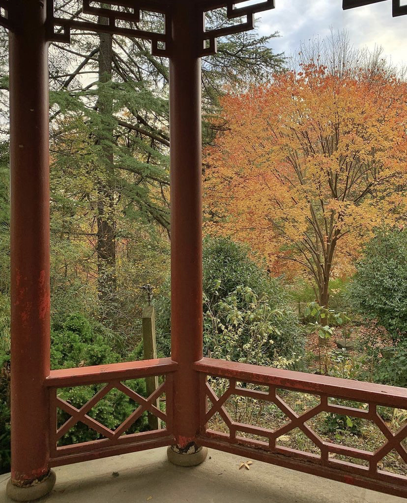 OthoEskin's tweet photo. Have you ever been to the National Arboretum? These gorgeous photos from @/nothing_but__flowers on Instagram reminded me of how long it’s been since I’ve stopped by. 🍂
#Fall #WintersComing #Foliage #FoundPhoto #DCcreatives #Author https://t.co/Dr2P2lzXli