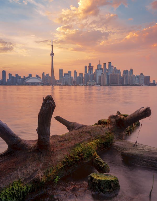 Tylersjourney_'s tweet photo. gm NFT Community ☀️☕️

Share a photo where you’re from ⬇️ https://t.co/o1oVsGWwUS