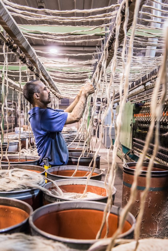 [#CultureDuLin]👀sur la préparation de la fibre de #lin🌱

Les rubans de lin peigné sont mélangés (=/= lots, parcelles, régions:
🇫🇷, 🇧🇪, 🇳🇱, années...) : cet assemblage permet d’allier les #qualités de chaque lot et de produire un #fil homogène et constant dans la durée.