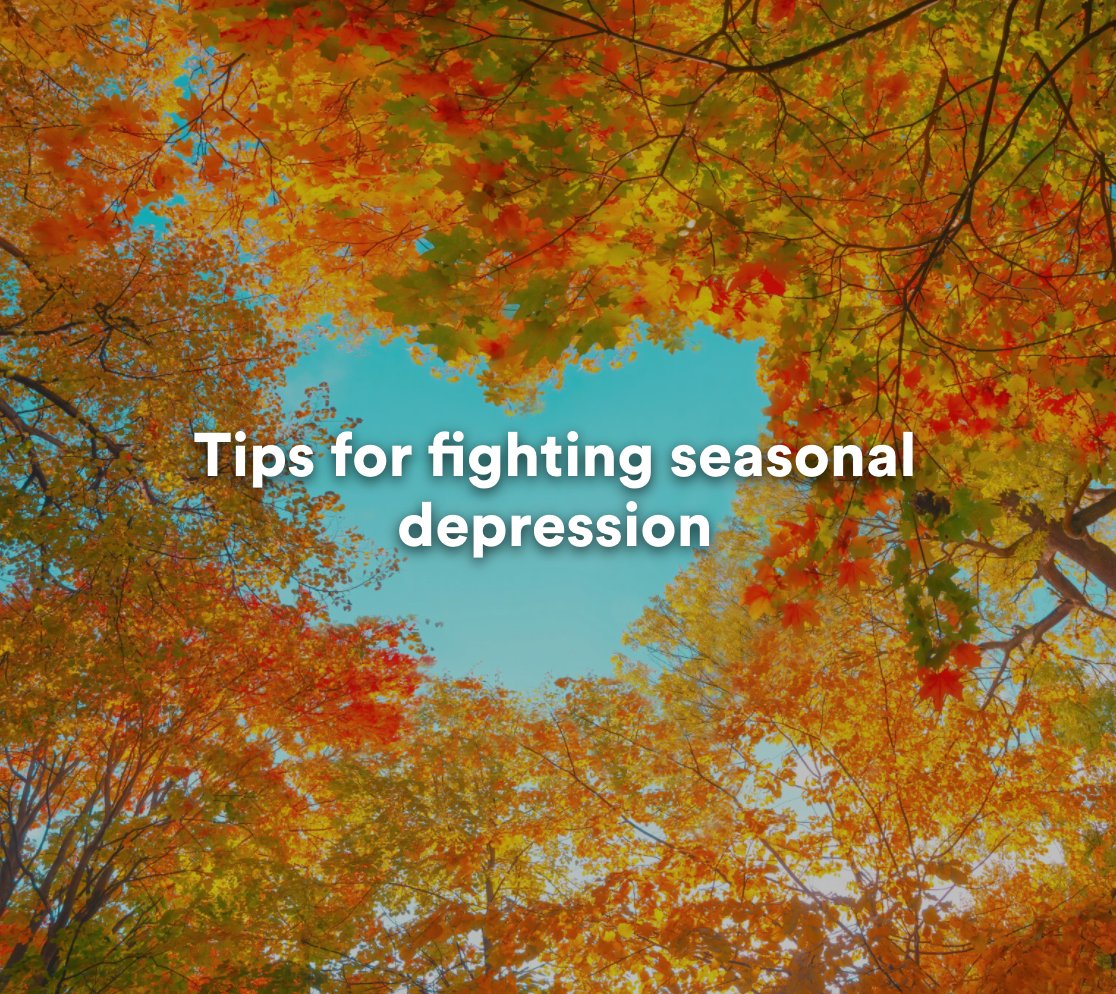 bualumni's tweet photo. Finding it hard to get out of bed the Monday after Thanksgiving Break? You're not alone. Take a look at these tips for fighting seasonal depression to help you get up and going! Read more ➡️ https://t.co/40NwlD4A6D https://t.co/VSJzNCtxzt