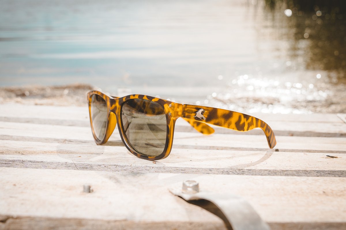 URTURT's tweet photo. Cyber Monday Giveaway: Free Polarized Shades - https://t.co/cn9fahQUSX https://t.co/iyqB8eMMIH