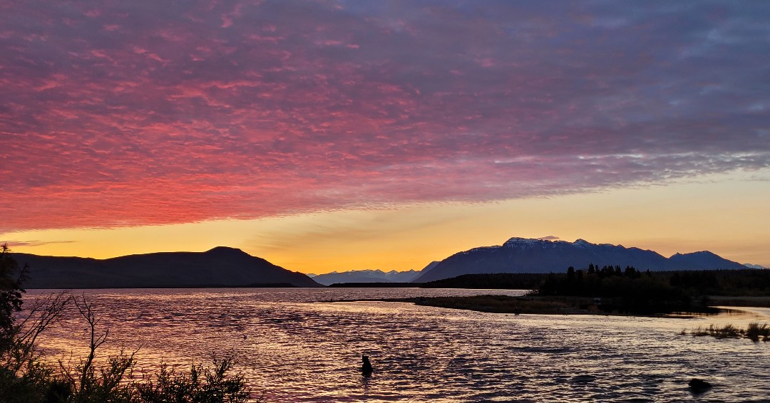 KatmaiNPS's tweet photo. Sometimes a beautiful image at sunrise is all we need to get the week started off right. Happy #MotivationMonday!

Photo courtesy of C. Spencer https://t.co/F3sGMVLTf1