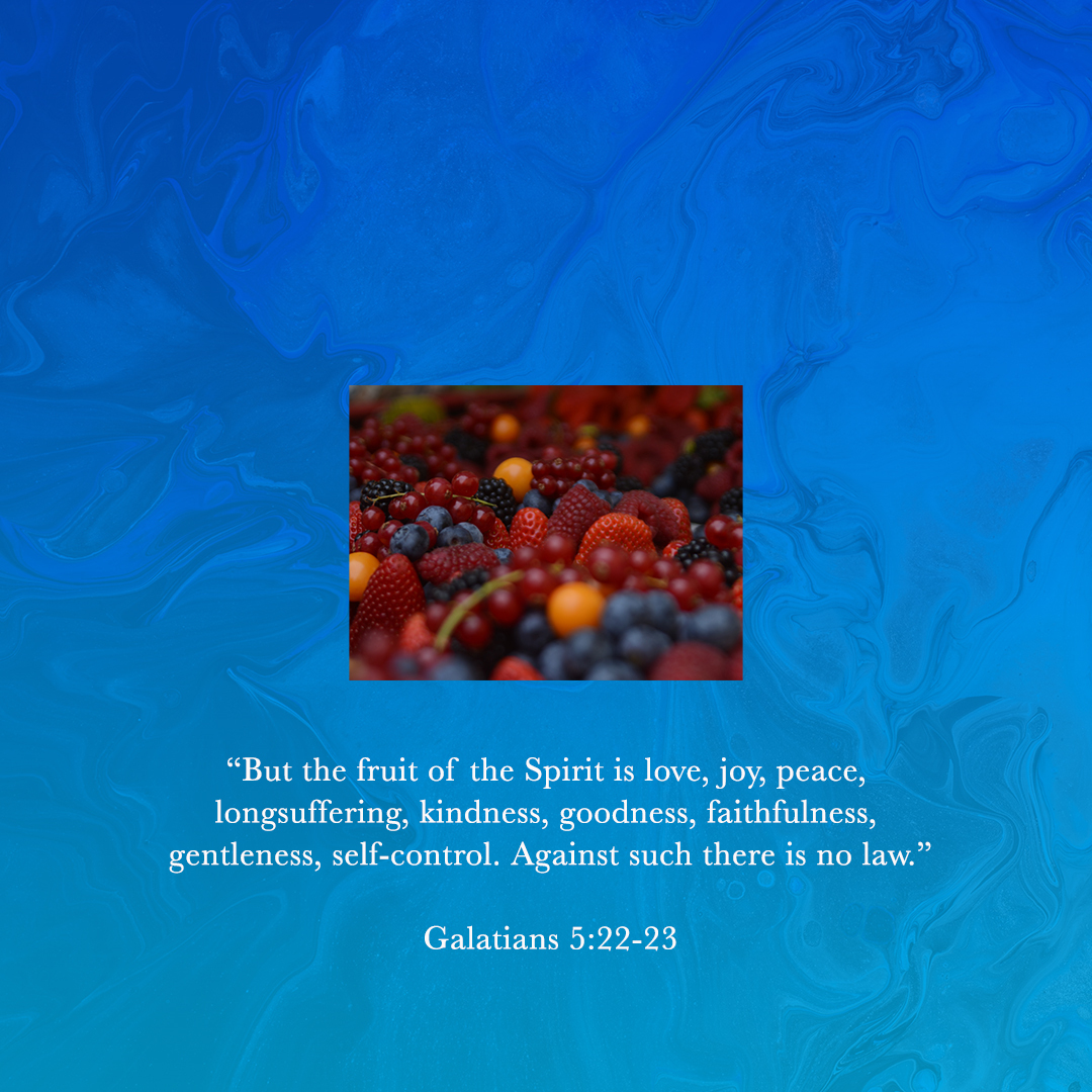 StrongTowerLive's tweet photo. The fruit of the spirit are the traits we will see as we lean further and further into the guidance and presence of the Holy Spirit. With God's help, we can adopt these traits, spread His love, and point others to Him! #StrongTower #MotivationalMonday #Motivation https://t.co/0GkM72qRV9