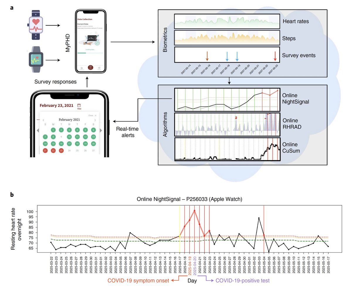 EricTopol's tweet photo. Real-time detection of Covid ~3 days before symptom onset via wearable sensors 
https://t.co/Kz7b4j9Pzj @NatureMedicine @SnyderShot @Spakho @StanfordMed https://t.co/VM3eWyBPb9