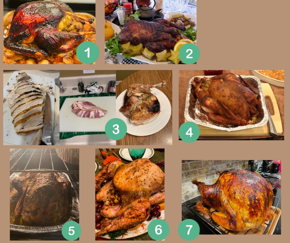 lcamericainc's tweet photo. LC America's Turkey Competition! Vote in the comments for which turkey is your favorite!! https://t.co/7kR2u1aYie