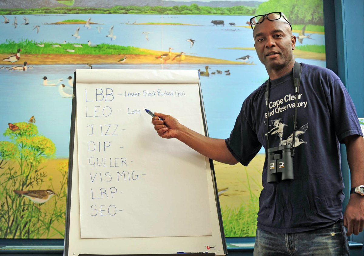 The Urban Birder - OFFICIAL tweet media