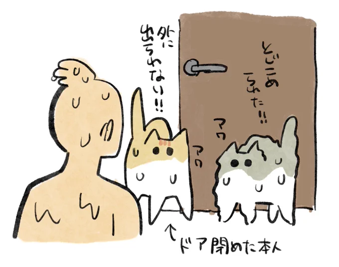 今日の絵日記。風呂出たら自分で閉めたドアのせいで洗面所から出られなくなってる猫たちがいた 