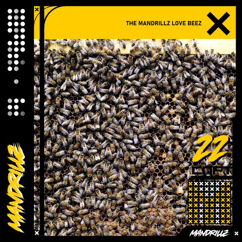 TheMandrillz's tweet photo. Mandrillz love bees. Mandrillz love honey. We do what we can to safe our environment. Our mission is to raise the floor to keep our population healthy and powerful. We support local beekeepers. That's why we like @HappyHoppersNFT community! #NFTs #CNFT #NFTcollection #NFTLAUNCH https://t.co/rIwldkduiI
