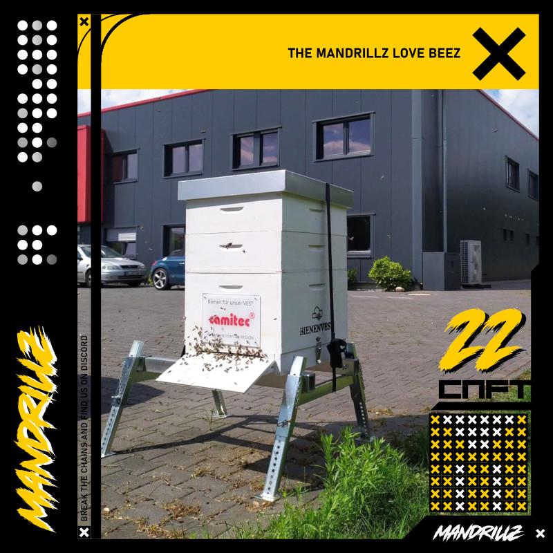 TheMandrillz's tweet photo. Mandrillz love bees. Mandrillz love honey. We do what we can to safe our environment. Our mission is to raise the floor to keep our population healthy and powerful. We support local beekeepers. That's why we like @HappyHoppersNFT community! #NFTs #CNFT #NFTcollection #NFTLAUNCH https://t.co/rIwldkduiI