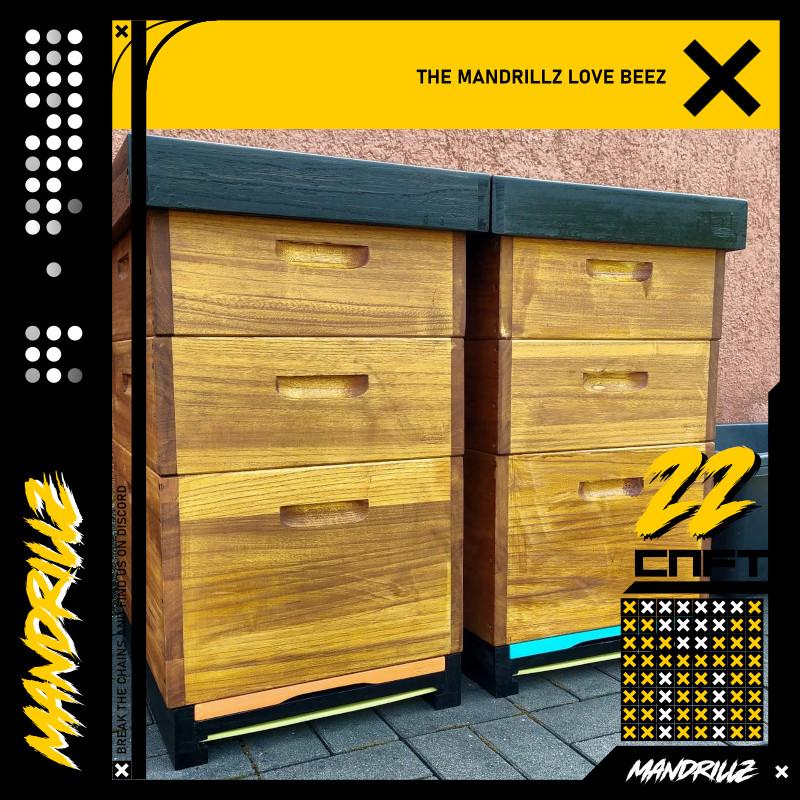 TheMandrillz's tweet photo. Mandrillz love bees. Mandrillz love honey. We do what we can to safe our environment. Our mission is to raise the floor to keep our population healthy and powerful. We support local beekeepers. That's why we like @HappyHoppersNFT community! #NFTs #CNFT #NFTcollection #NFTLAUNCH https://t.co/rIwldkduiI