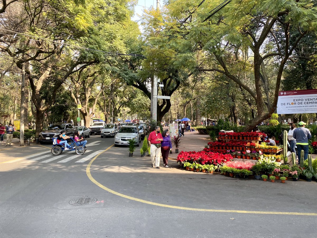 SeanParkRoss's tweet photo. Been living in leafy Condesa ๐ฒ๐ฝ around Amsterdam circle ๐ณ the last 8 months. Lease up tomorrow & since South Africa borders are shut because of omicron,๐ฆ Iโm moving to a quiet, hidden, faraway apartment in corporate high-rise Santa Fe to lock in & hustle full time on #ZeroTo1M https://t.co/2bRzGySYwg