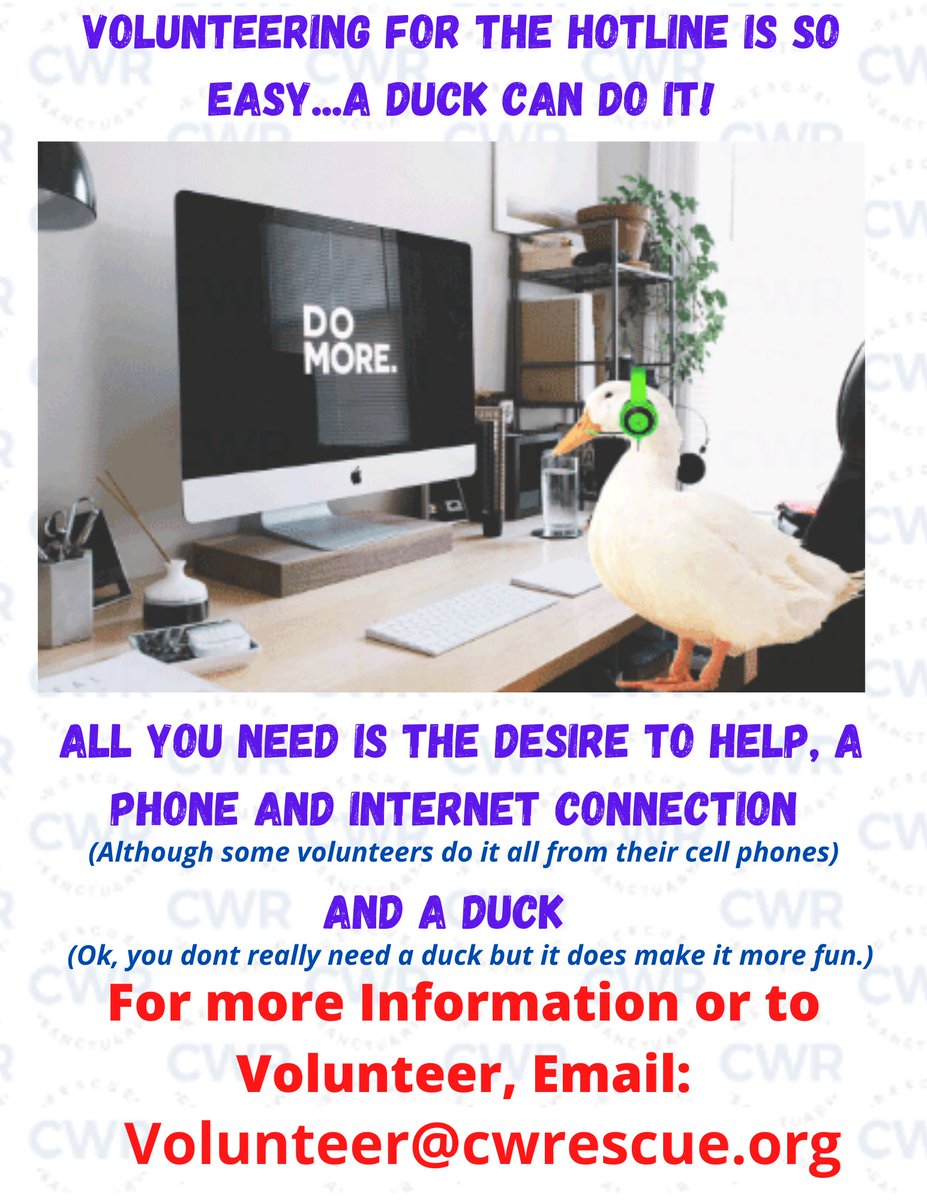 Hotline Volunteer's Needed. No experience required and can do it from home.
Please email : volunteer@cwrescue.org for more info
