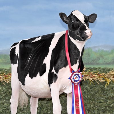 #NewProfilePic Jr Champion Cdn National show!