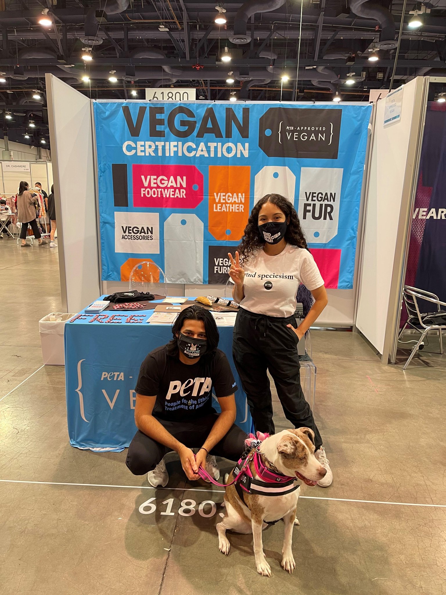 Can Dogs Be Vegan Peta