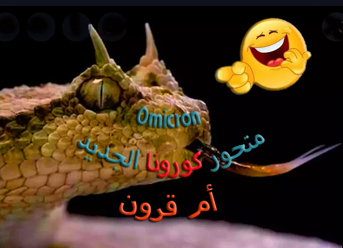 استعراض المقال