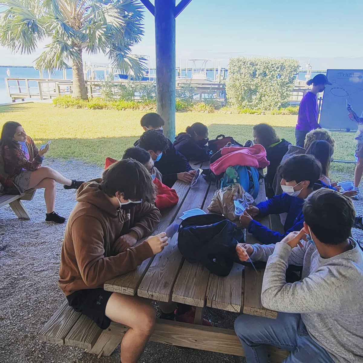 teach_me24's tweet image. Such a fun day today with the @HillsboroughIB junior class at Tampa Bay Watch, learning about our local estuary habitats! #tkscience #tkbio