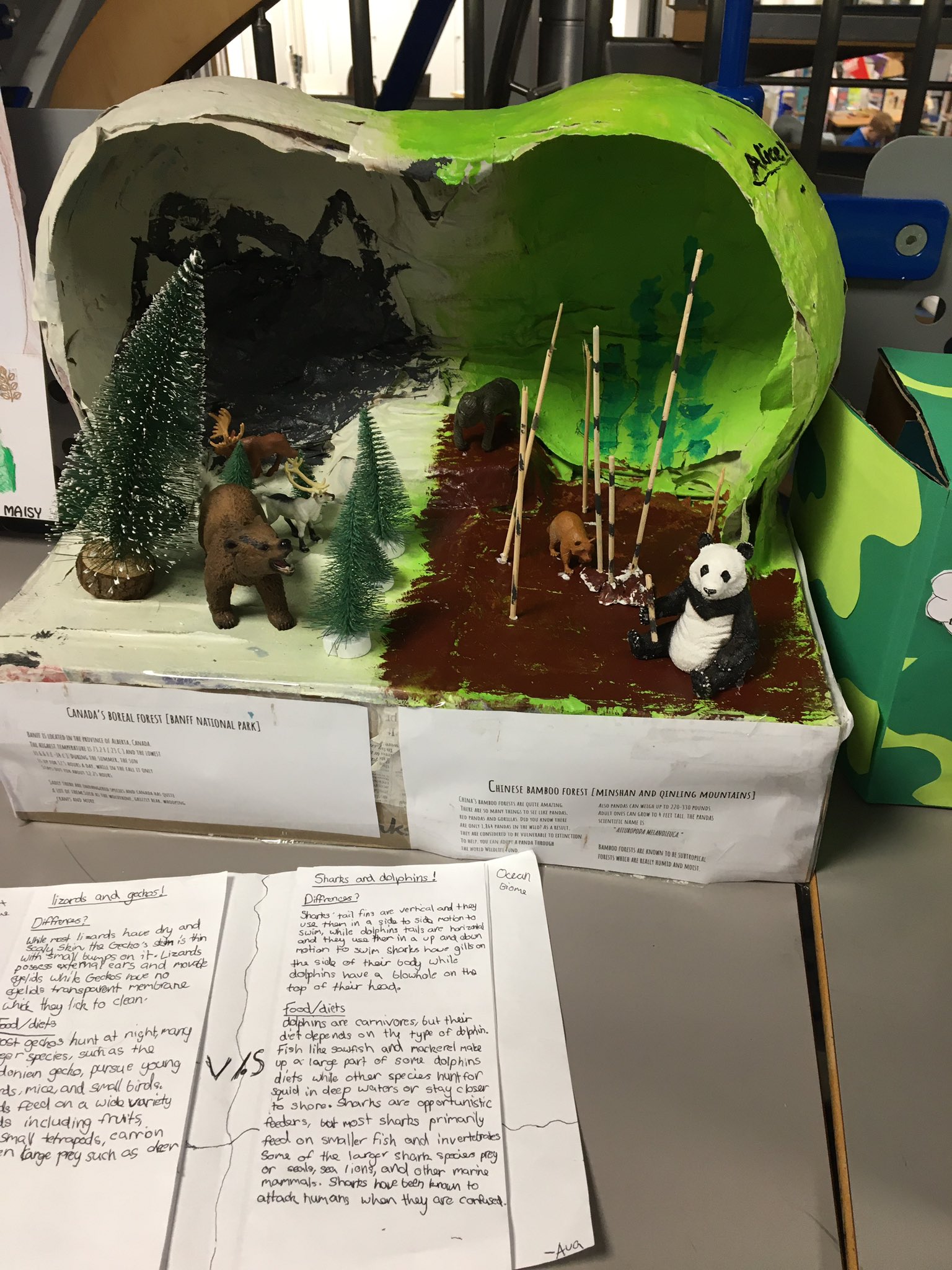 Htpd School Y6 Adaptation Projects Are Such High Quality This Year T Co Vp5ddyeexn Twitter