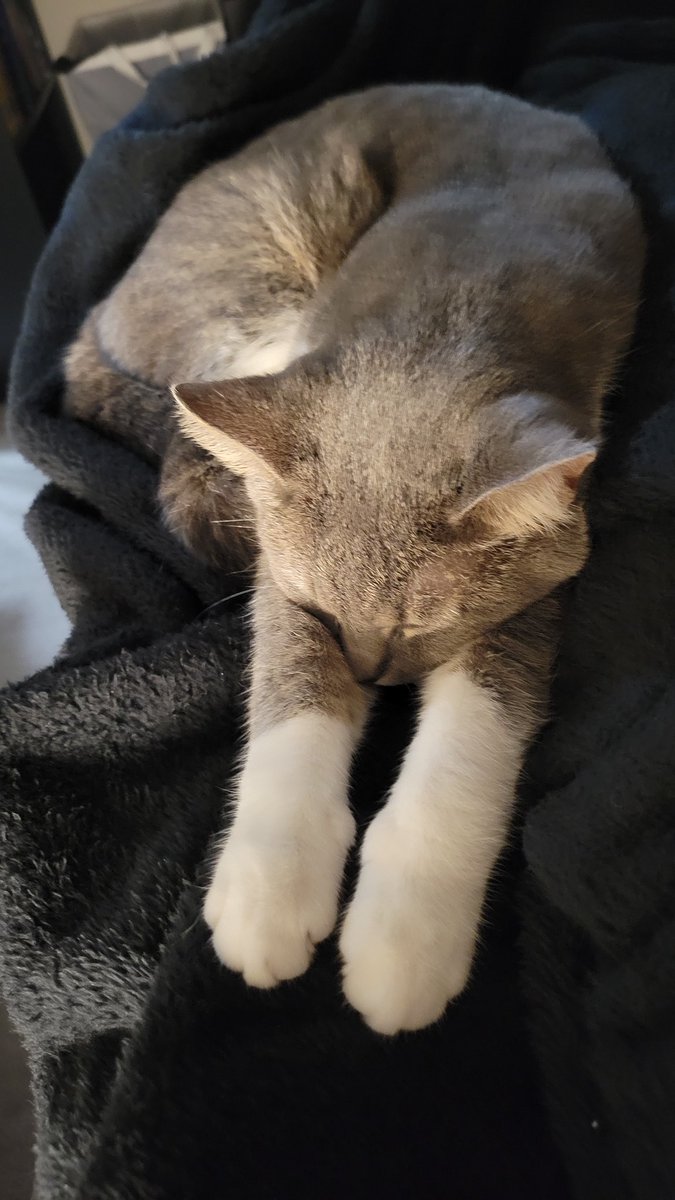 Laphicet0's tweet image. sleepy... very tired