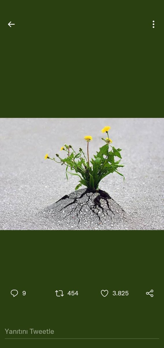 #Sivas
Sivaslı güçlü olur derler güçlülere selam olsun .