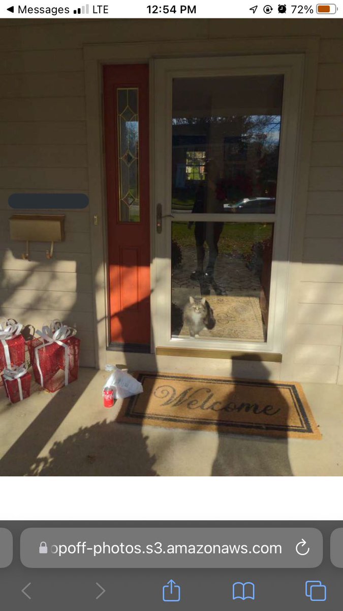 galemtido's tweet photo. GUYS MY DOORDASHER TOOK A PIC OF MY FOOD BUT MY CAT WAS JUST STARING HER DOWN I CANT DEAL WITH THISNFKSGKSKGKSKKG https://t.co/M5UlZUBzMM