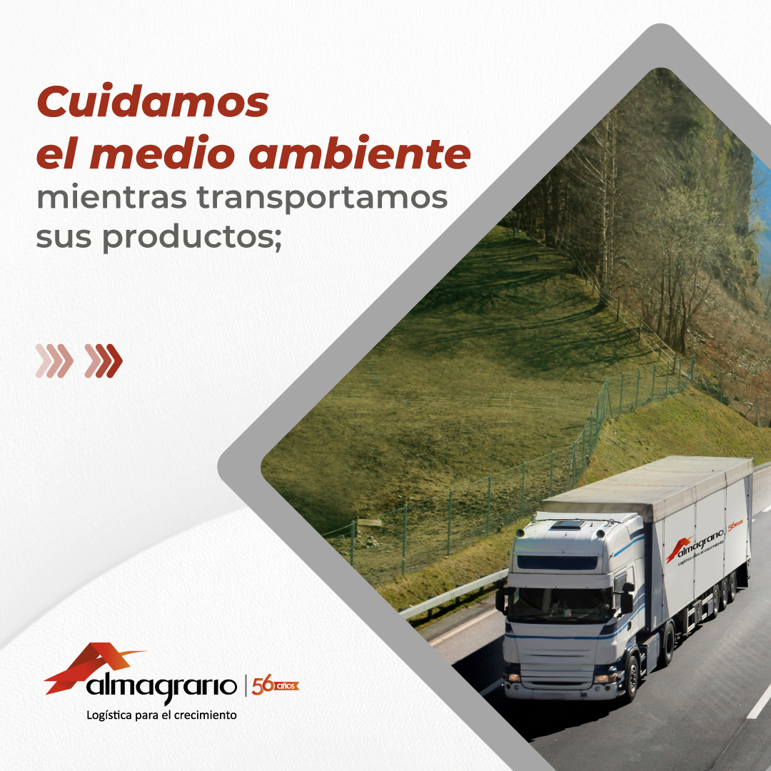 almagrario's tweet photo. Manejamos transporte multimodal, nos adaptamos a su necesidad.
Cotice en https://t.co/TR9BXPirY2

#Almagrario #procesoslogisticos #almacenamiento #logistica4pl #4PL #RSE https://t.co/1cYzatBrju