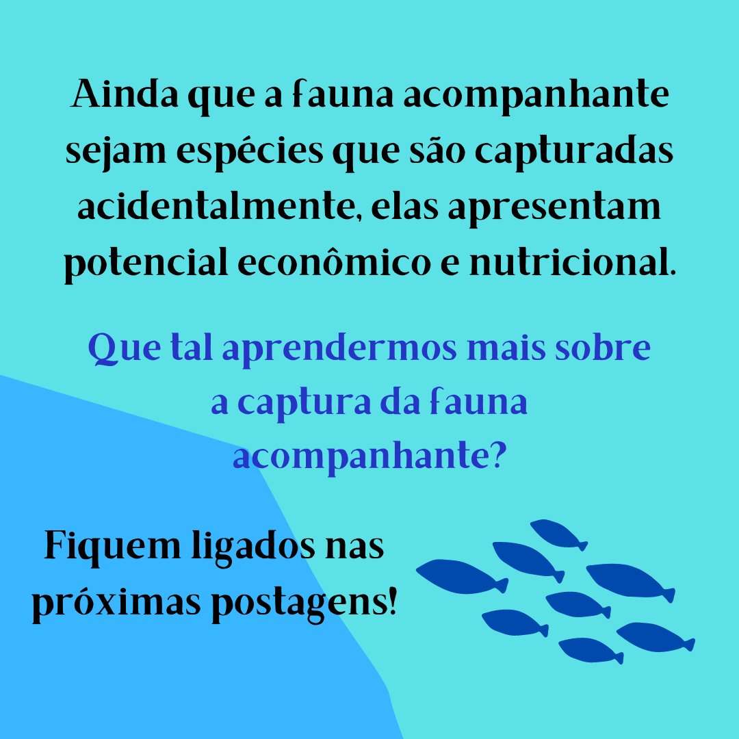 labictioufs's tweet photo. Você sabe o que é pesca de arrasto? 🤔

Dê uma olhada nas informações abaixo!  ⬇️

Não esqueça de deixar sua curtida e retwittar! 😉

Veja mais em: https://t.co/ygxOcGCCBy https://t.co/Q5szSiF4Th