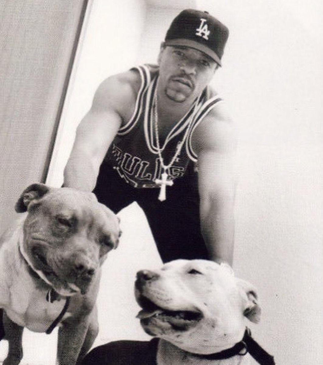 FINALLEVEL's tweet photo. ‘The people that don’t like me… Never did.’ Throwback with my Pits 187 &amp; Assasin 💎 https://t.co/GMNjpMs8Uv