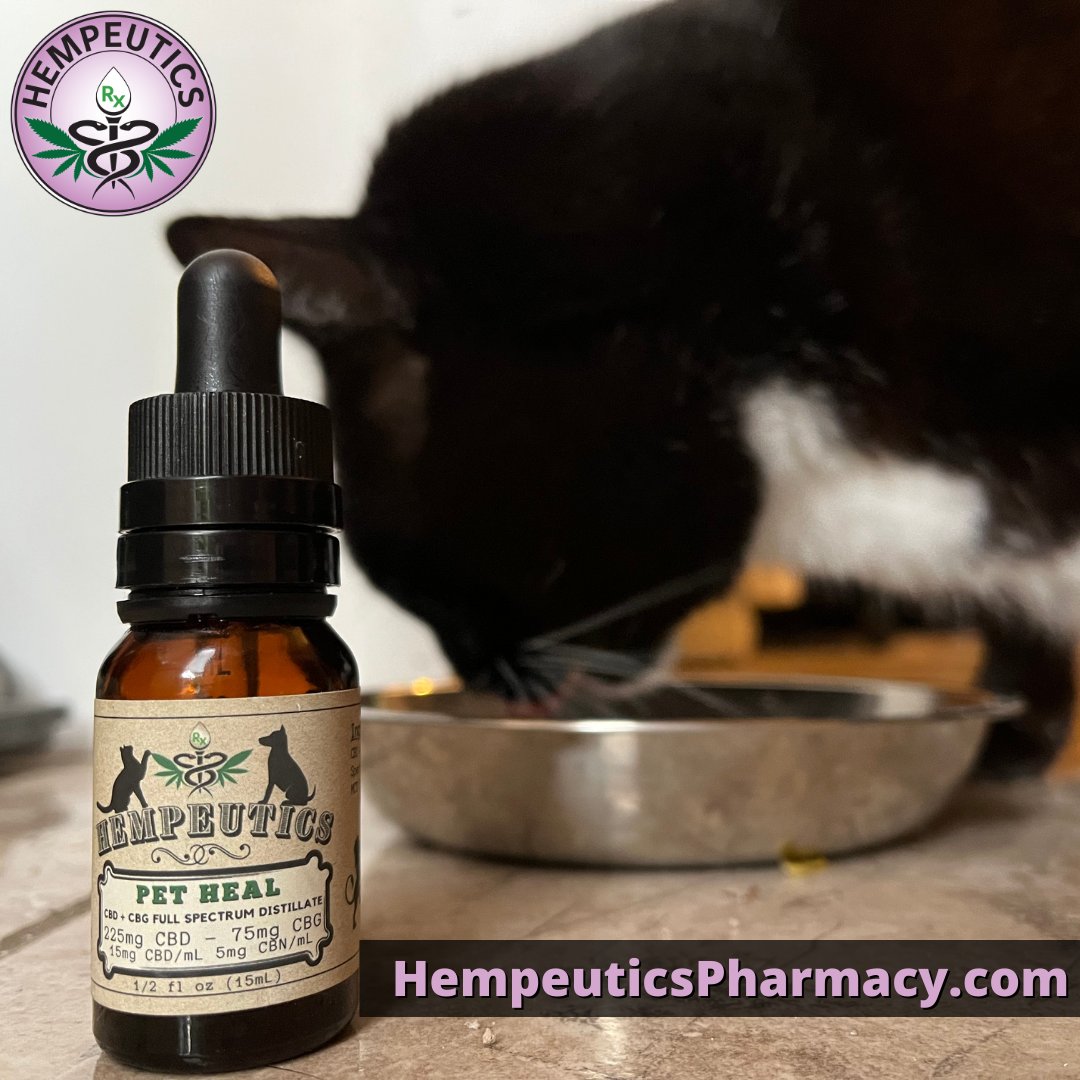 Hempeutics's tweet photo. A couple drops of our Pet Heal Tincture goes a long way. Works great for elderly pets. Available on our website!
π https://t.co/FDFYiFOdRY π
#HempeuticsPharmacy #Hempeutics #cbd #HuntingtonBeach #cbdpharmacy #cbdoil #cbdproducts #cbdpets #pethealth #petcare #petproducts https://t.co/FGbhCjZio8