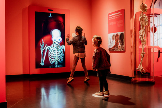 Museumkids's tweet photo. Joepie, er zijn maar liefst 65 Kidsproof musea in Nederland! In elke provincie, dus ook bij jou. En het Discovery Museum uit Kerkrade is dé superwinnaar. Wil je weten waar je echt naar toe moet, check https://t.co/yHlY8xFaaZ https://t.co/jqM7CG1h2C