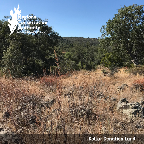 WesternRCA's tweet photo. Gifts are welcome. If you are a property owner who is interested in donating land for the #MSHCP in western Riverside County, learn more at https://t.co/fvzAYc3q2Z https://t.co/zw1SHc3JoS