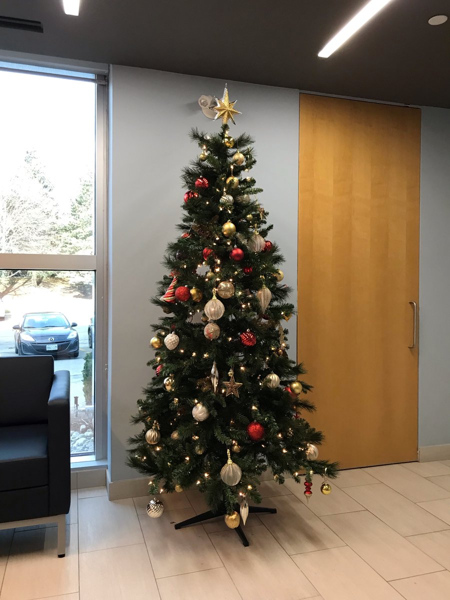 Yes folks, it's that time of year again!  Last week <a href="/burlingtonlaw/">Martin & Hillyer Associates</a> put up its Christmas tree!!!  Where does the time go?