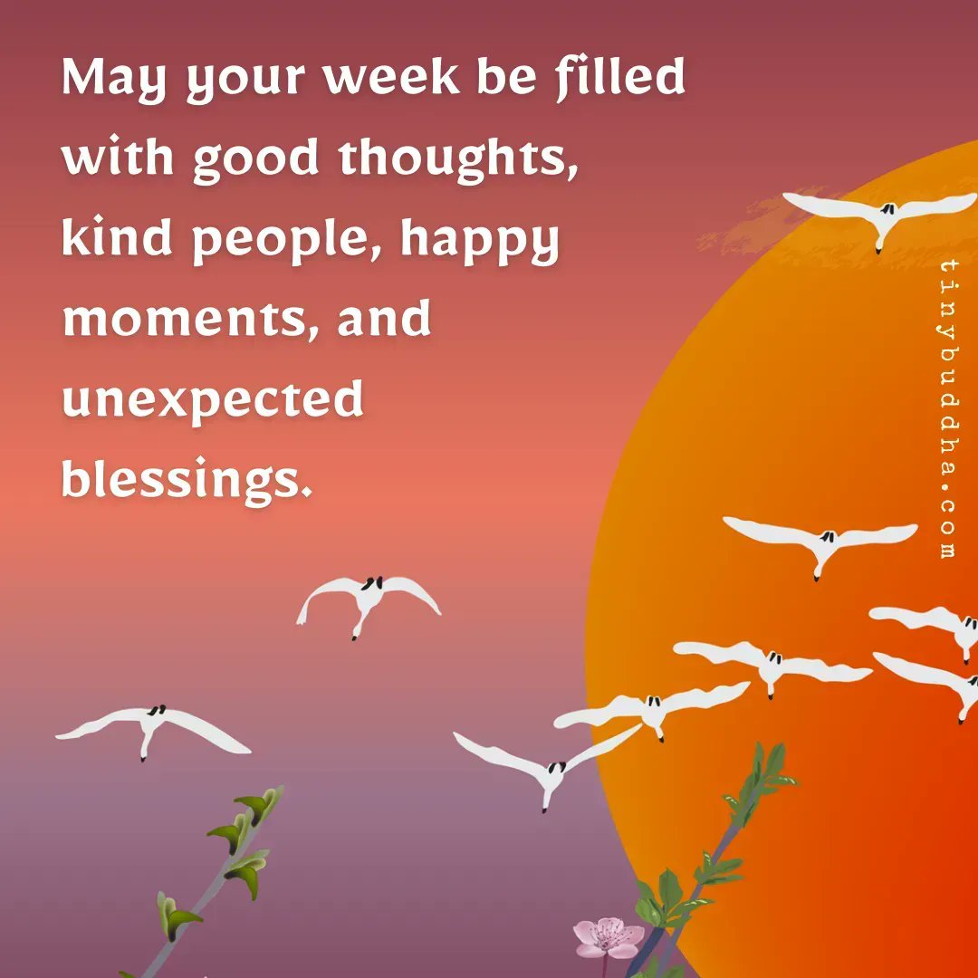 tinybuddha's tweet image. May your week be filled with good thoughts, kind people, happy moments, and unexpected blessings.