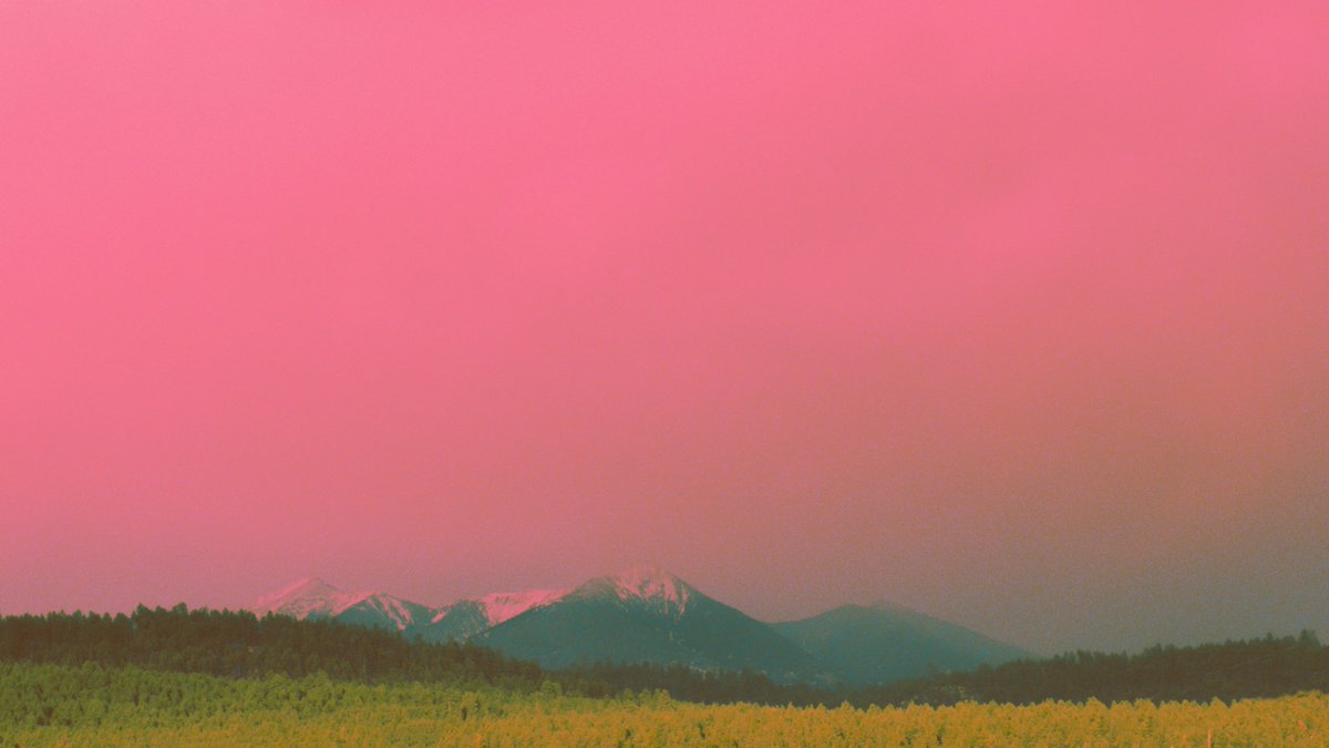 We could just cruise