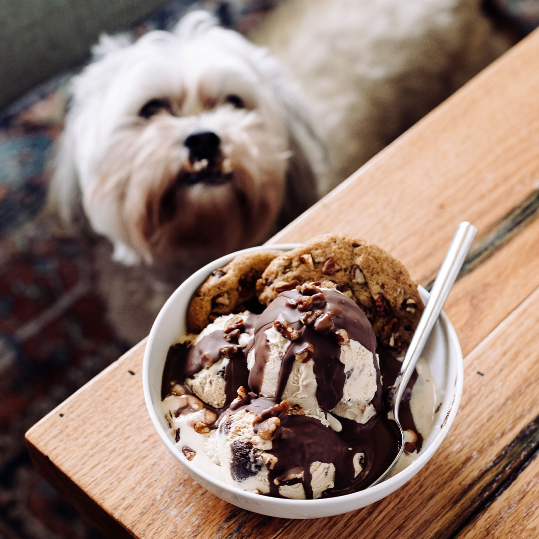 Only the best for our besties!  eCreamery.com is 50% Off Sitewide today.  PLUS you can add a free pint of Cookies &amp; Cream at Checkout.  So much sweetness, you can't pass this up.  Offer ends tomorrow, 11/30/21 at 11:59 pm CST.