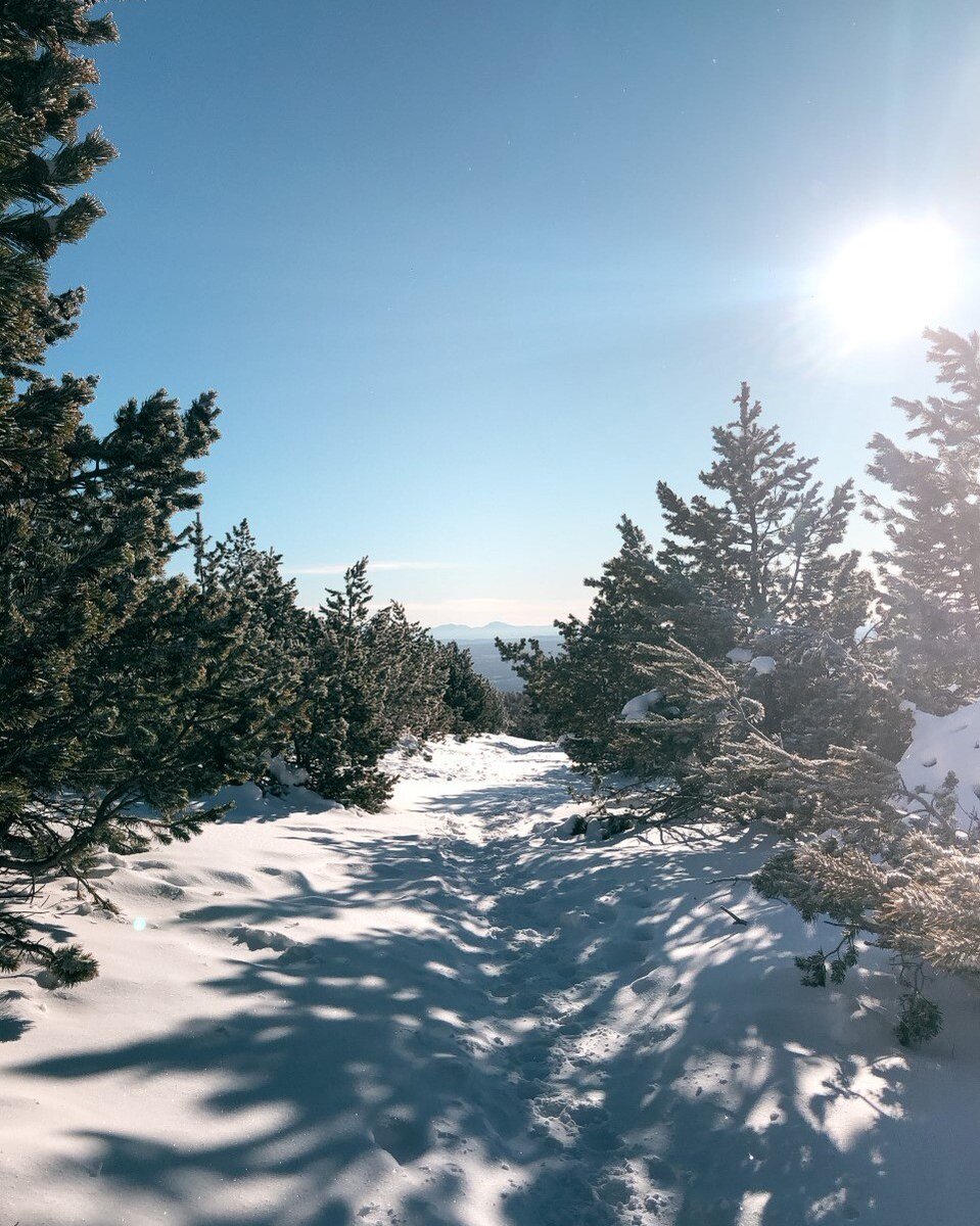 laprovence's tweet photo. Vivement que le #MontVentoux se pare de son joli manteau blanc ❄ 

Crédit 📸 @lisabelle.p https://t.co/CGiQXaidTk