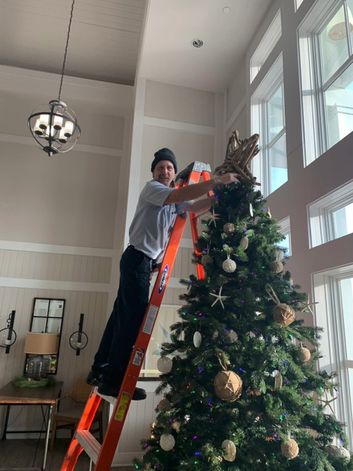 Anna Aleman tweet media