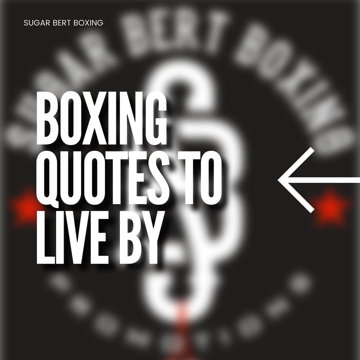 sugarbertboxing's tweet photo. Sometimes life gets in the way and takes us off track. Here’s a reminder to always have that 🔥 burning!
#sugarbertboxing #wbcboxing #boxinglife #boxingmotivation #boxinginspires #boxinginspiration https://t.co/JLuEUiqUmC