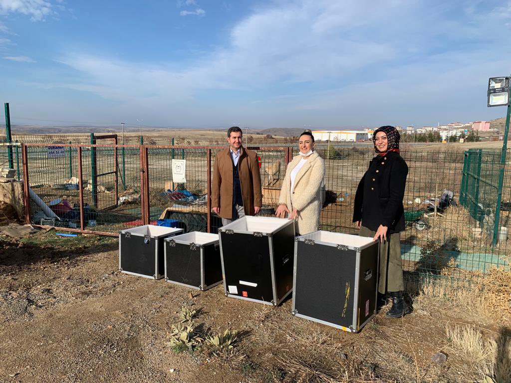 Atıkları geri kazanmaya devam ediyoruz. Atık makina kutuları soğuk kış günlerinde köpeklere yuva olacak.